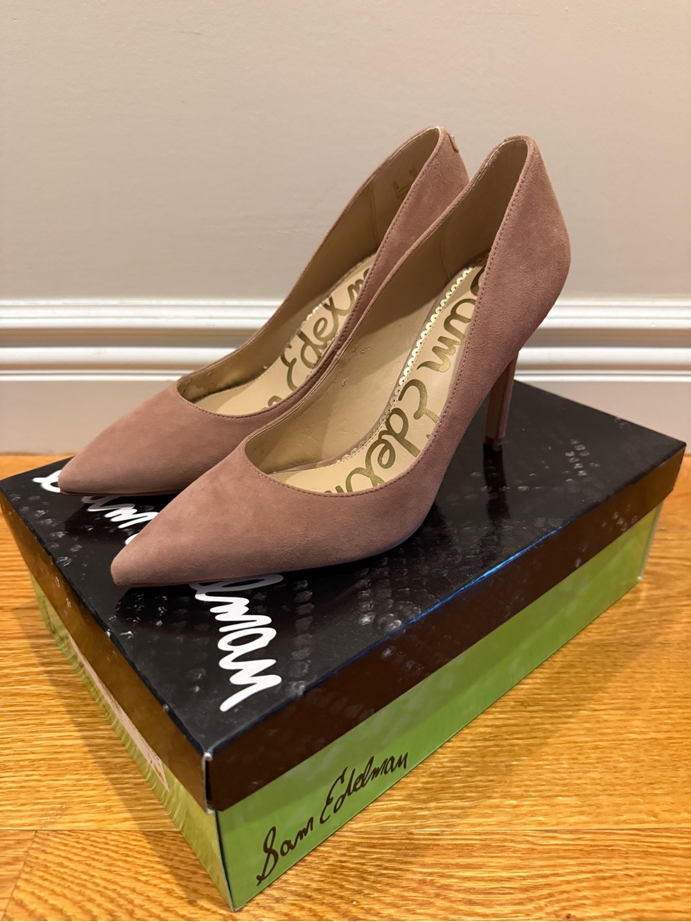 Sam Edelman Hazel Pointed Toe Pump